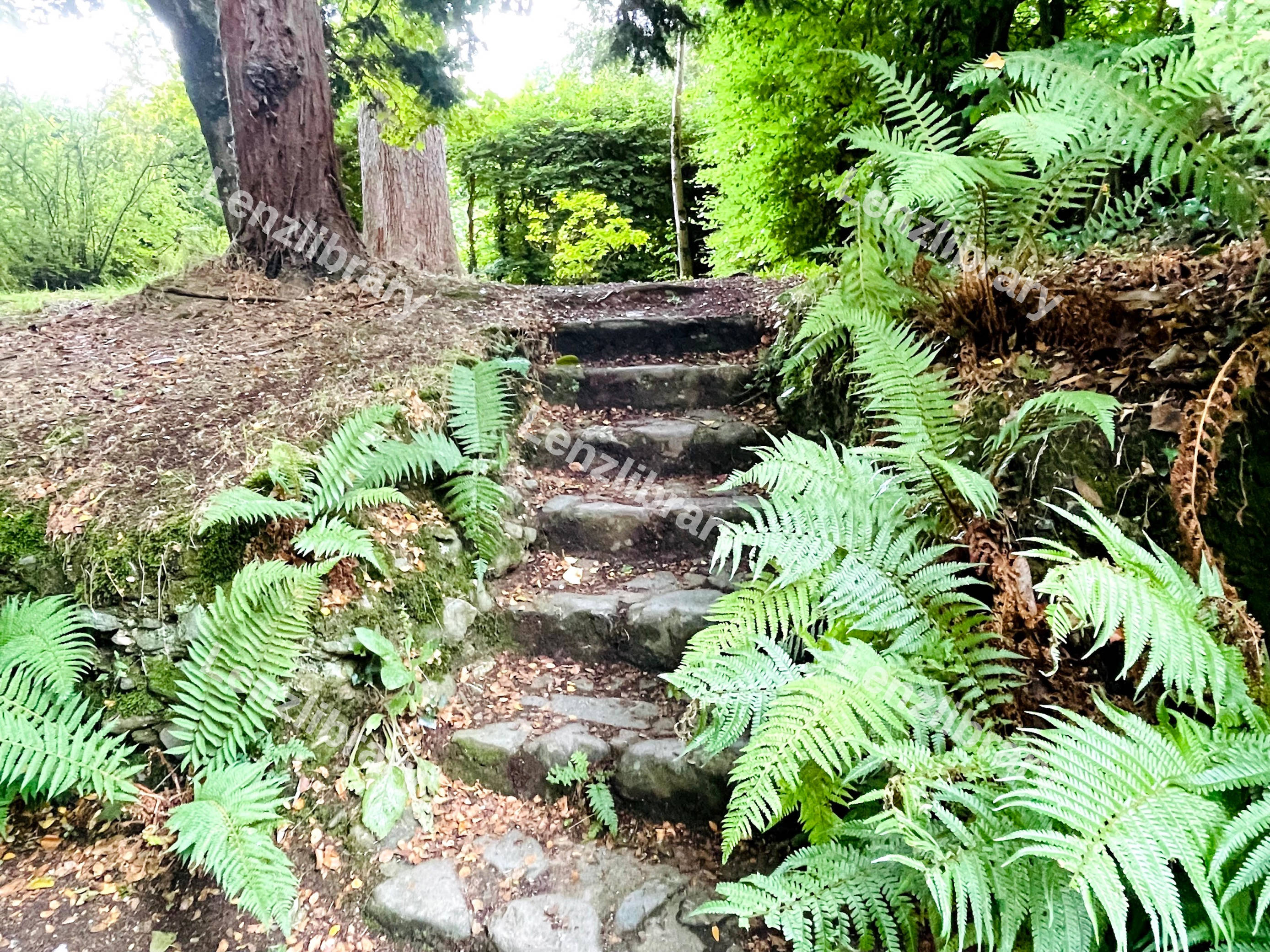 Stone Walkaway